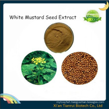 White Mustard Seed Extract, Mustard Seed Extract